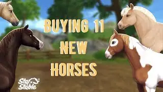 Buying 11 New Horses! | Star Stable Online