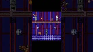 ЧЁРНЫЙ ПЛАЩ НА ДЕНДИ / DARKWING DUCK NES, 14