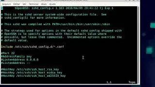 Como habilitar conexão SSH com usuário root no Debian