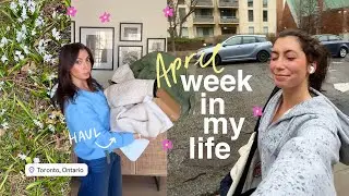 WEEK IN MY LIFE vlog: spring clothing hauls, meal prep + healthy recipes!