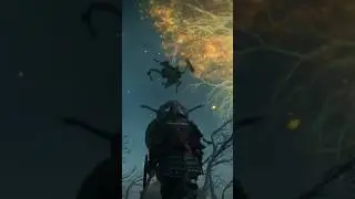 拙者初見 接木の貴公子