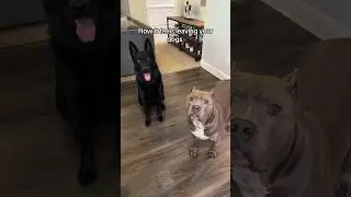 Wish I Could Take Them Everywhere