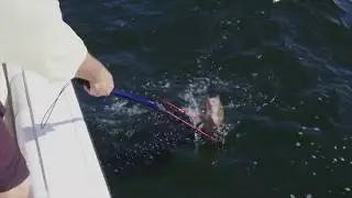 This Net Saves Fish | Rubber Mesh Landing Net