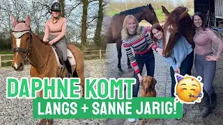 Rood haar + verjaardag vieren op stal! || Vlog #311
