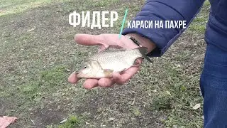 Рыбалка карася на реке Пахра. Фидер