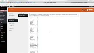 WP Panel - Client Capabilities