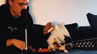 ASMR With Kitty
