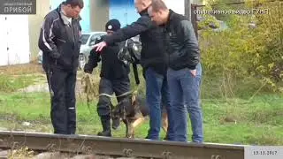 По горячим следам раскрыли убийство женщины
