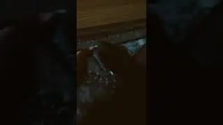 hejo