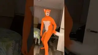 Tail the fox is here to help! 🦊 