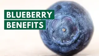 Top Reasons to Eat Blueberries Every Day!