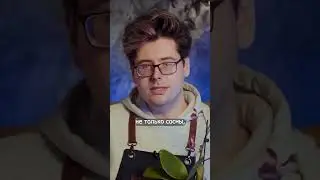 Правильная посадка орхидей