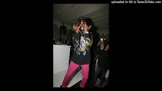 [FREE] Playboi Carti Type Beat - Shiba