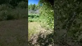 дача и поля