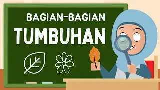 Bagian - Bagian Tanaman dan Fungsinya 
