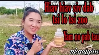 Tshuaj zoo hiav