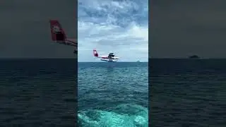 SEA PLANE LANDING ON WATER  -  SHORTS VIDEO