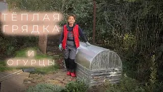 Тёплая грядка и огурцы I Сад Людмилы Кудасовой