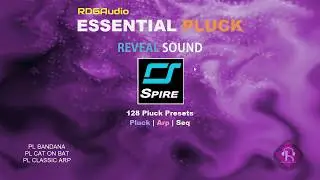 RDGAudio Essential Pluck Reveal Sound Spire AU VST Presets Sound Bank Demo
