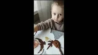 Борисюк Марк