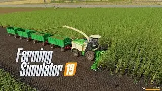 FS19 | #15 Cosecha de Forraje para Ensilar