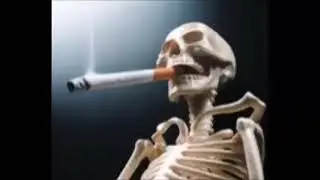 bad to the bone