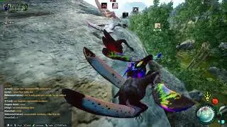 Tropeo Gang Shenanigans