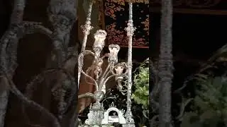 Salida de Nuestra Señora de la Soledad #pozoblanco #semanasanta #shorts #viernessanto