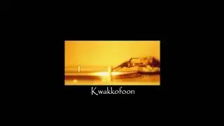 Dijf Sanders - Kwakkofoon