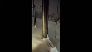 Зиму пережили, но новая не загарами.