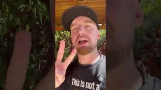 Gry na Telegramie pod Potencjalny AIRDROP 🤑 W CO Gram?