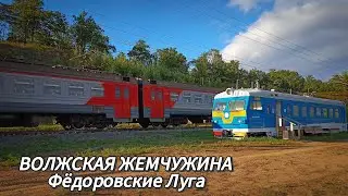 ВОЛЖСКАЯ ЖЕМЧУЖИНА / Фёдоровские Луга / ГРИБНИКИ НАВСТРЕЧУ