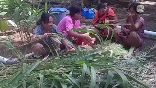 Kelompok Wanita Tani di SulSel : Pemberdayaan Perempuan untuk Ketahanan Keluarga