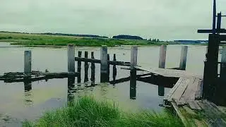 Летний день в селе Мальцево Шадринский район