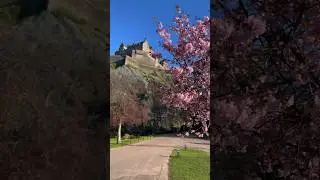 Edinburgh in Spring #edinburghscotland #edinburghcastle