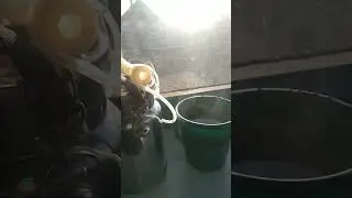 Деревенское утро 9 мпрта