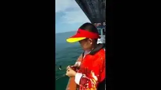 โปร ดอม