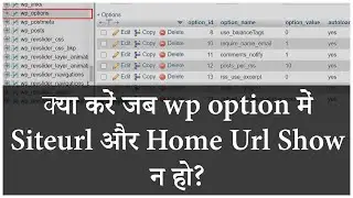 What to do when Site Url & Home Url not show on wp-option in Wordpress Database | learn2smart