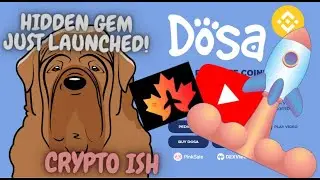DOSA #BSC Just launched! Dosa Bomb - "YOUR FAVORITE COIN'S FAVORITE COIN" #CRYPTO #NFT #dogecoin