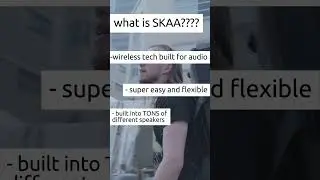 WHAT IS SKAA?
