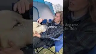 This lamb camp is soooo cute🐑🏕️