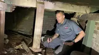 Termite Inspection on Gold Coast discovers another financial loss for homeowner