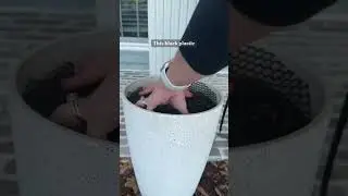 DIY Faux Flowers for the Front Porch 🌺 #amazonfinds #founditonamazon #amazonhome #flowers