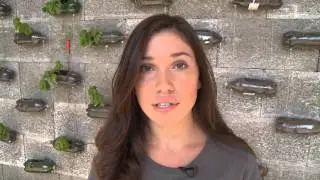 Rachel Parent Election message