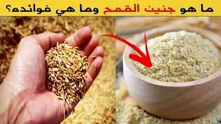 ما هو جنين القمح وما هي فوائده؟