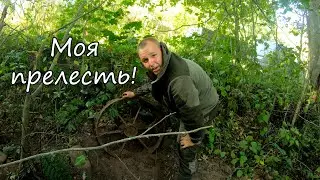 Металлокоп  вскруживший мне голову!