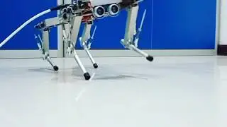RX01 первые шажки