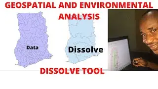 How to use dissolve tool on ArcMap