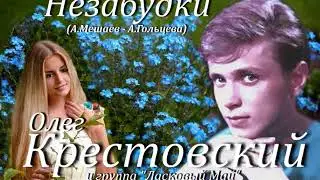Олег Крестовский & группа "Ласковый Май" - Незабудки