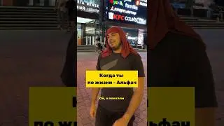 Когда ты по жизни - Альфач 😎 